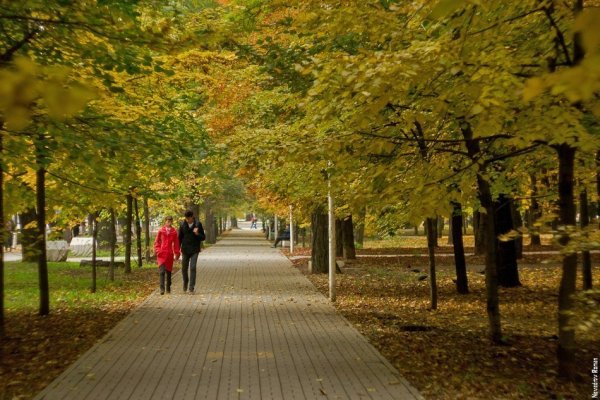 Парк имени Горького Ростов-на-Дону осенью