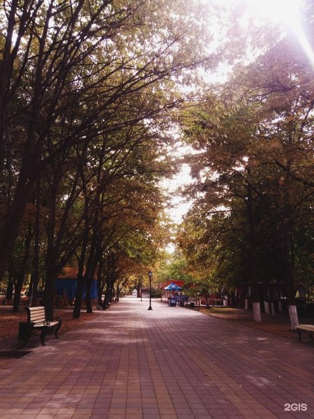 Парк имени города Плевен