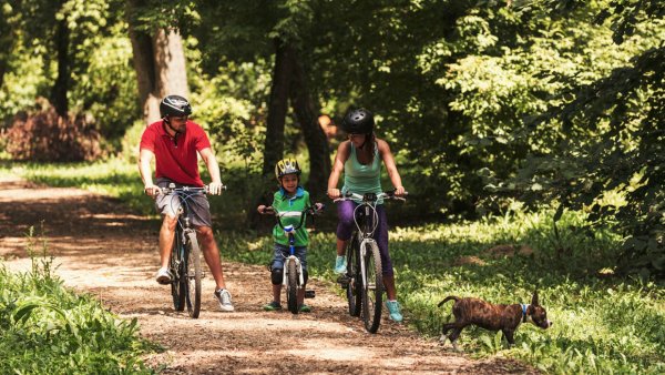 Прогулка на велосипедах семьей