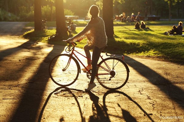 Прогулка на велосипеде