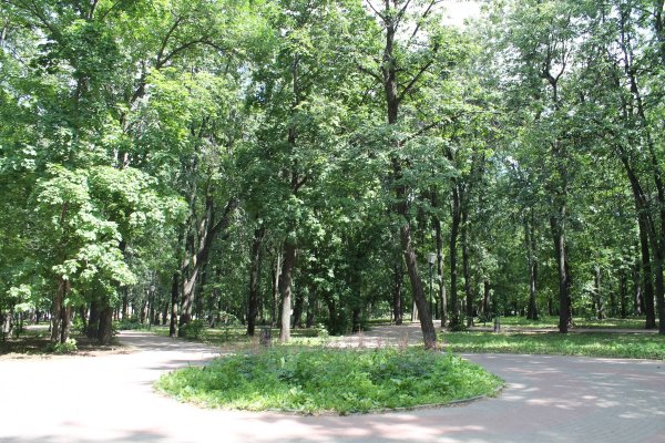 Кулибинский парк Нижний Новгород