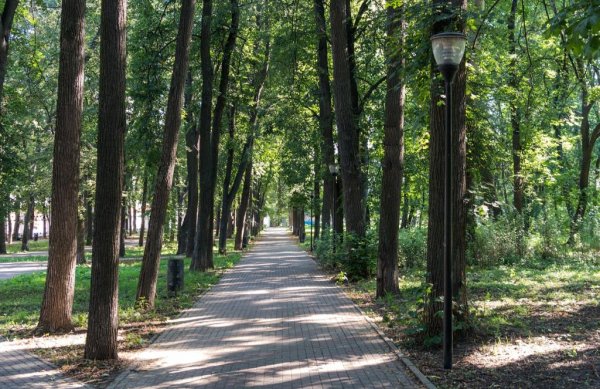 Парк имени Кулибина Нижний