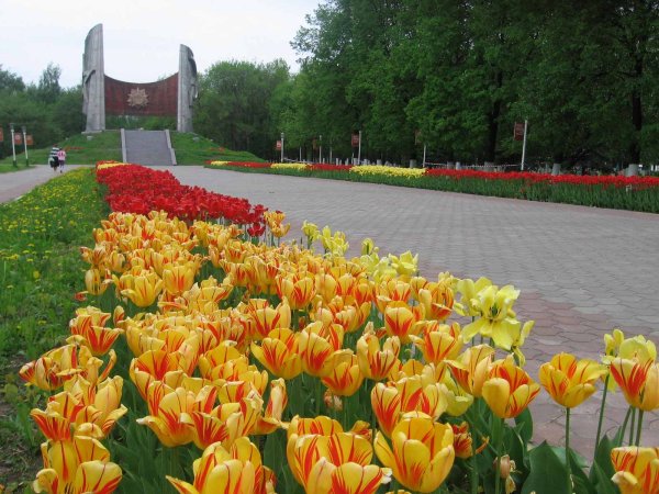 Парк славы Нижний Новгород Автозаводский район