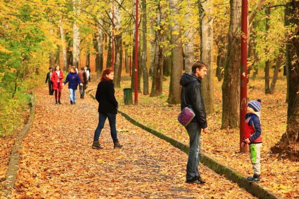 Прогулка в парке