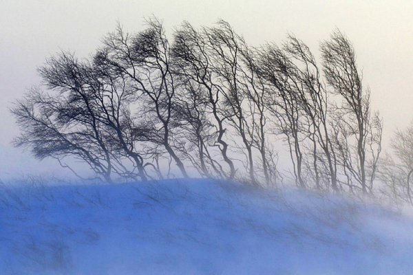 Буран вьюга