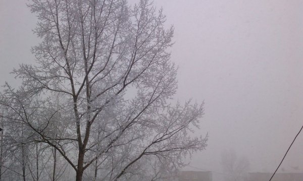 Порывы ветра зима