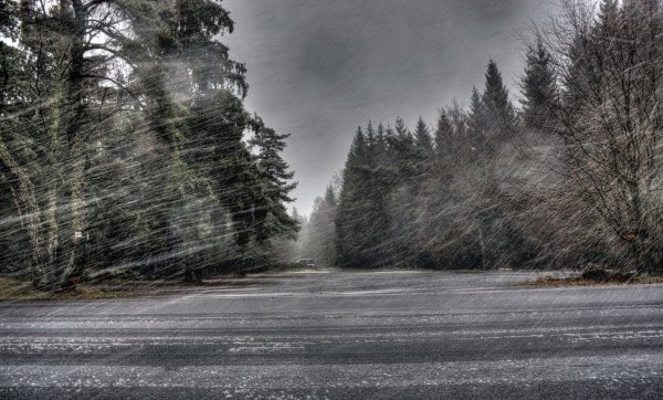 Зима метель