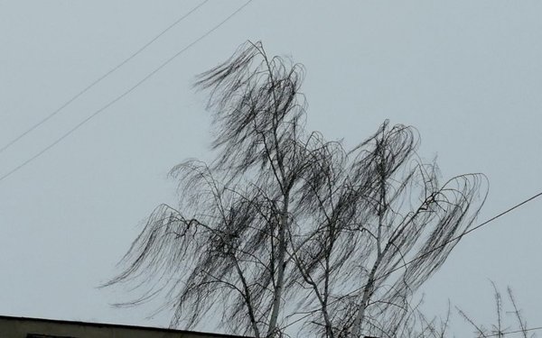 Штормовое предупреждение ветер