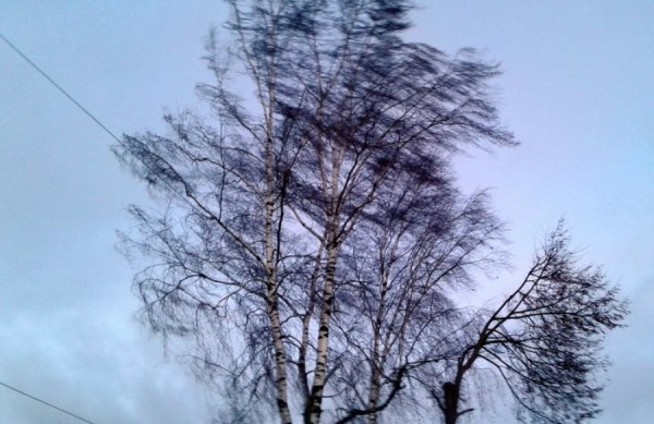 Внимание усиление ветра