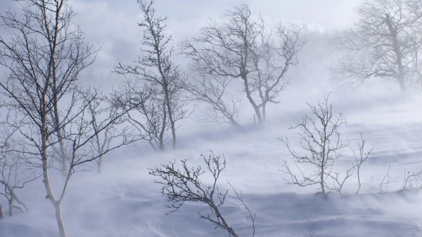 Ветер дует зимой