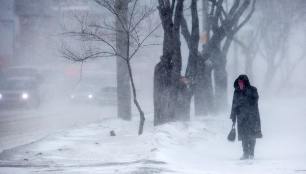 Сильный снегопад и ветер