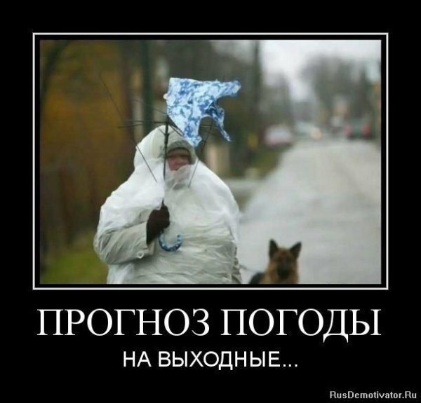 Шутки про плохую погоду