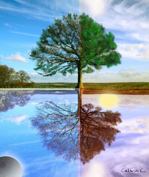 Четыре сезона природы