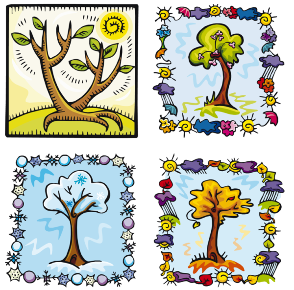 Дерево в разные времена года