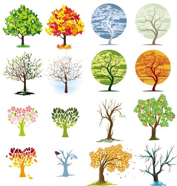 Дерево по сезонам