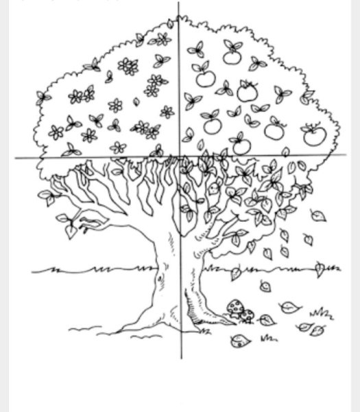 Раскраска дерево по временам года