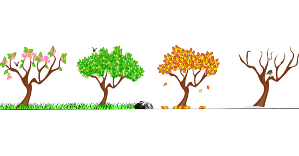 Дерево 4 сезона вектор