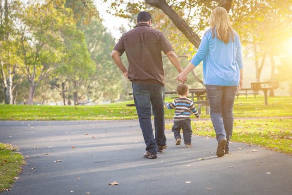 Семья на прогулке со спины