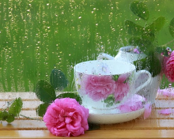 Доброе утро дождь