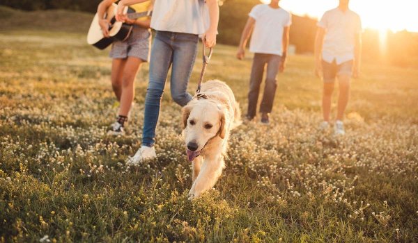 Подросток с собакой