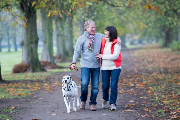 Прогулка с собакой в парке