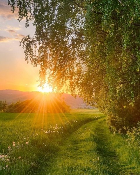 Природа солнце