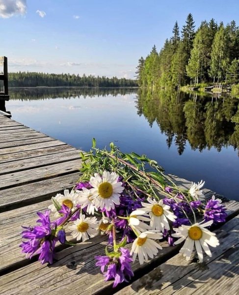 С добрым утром на речке