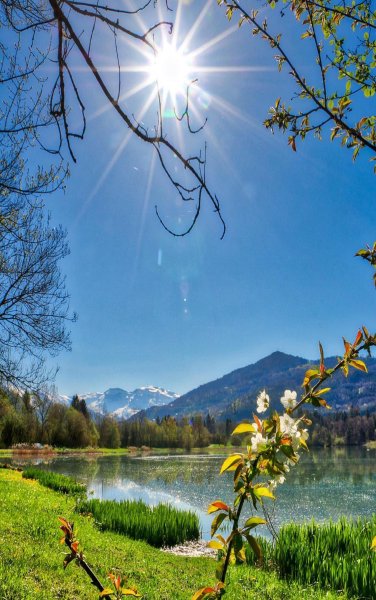 Весна солнце