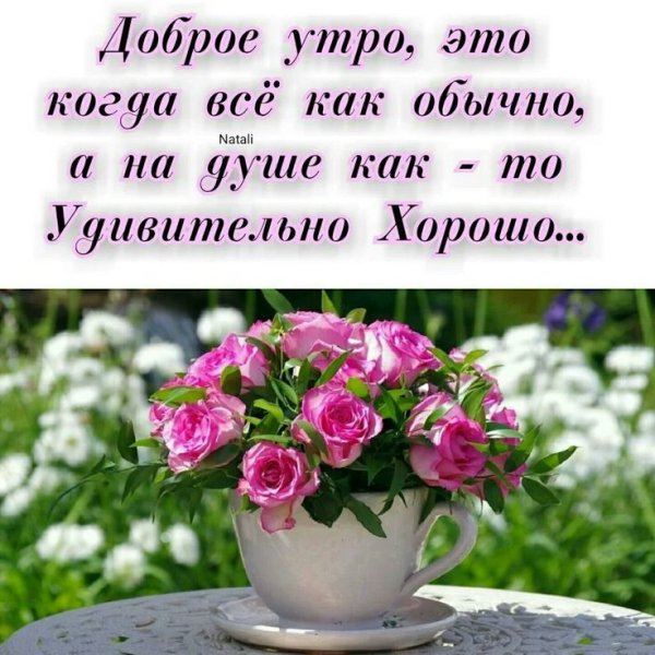Душевные пожелания с добрым утром