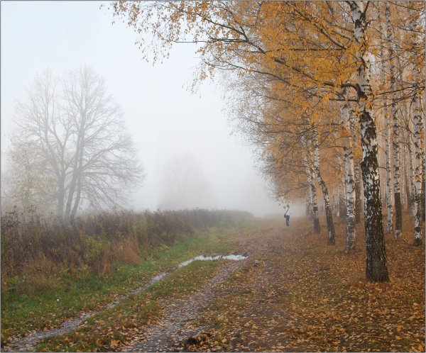 Осень непогода