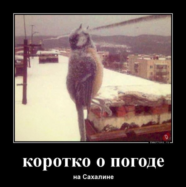 Коротко о погоде