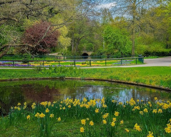 Парк в Берлине