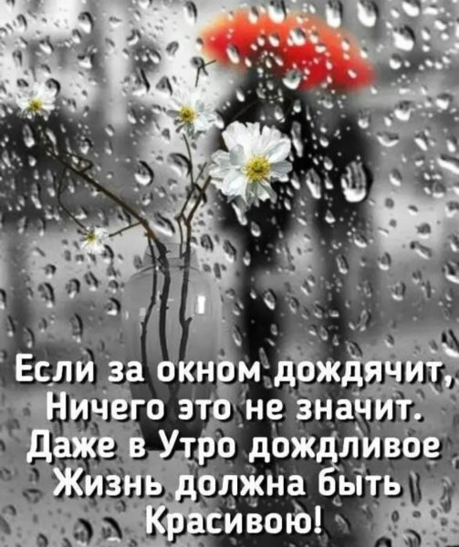 Доброе дождливое утро