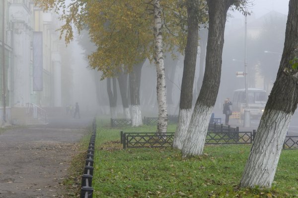 Туманный Сургут