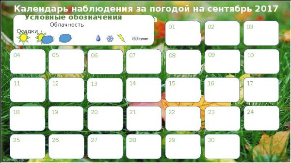 Дневник наблюдений