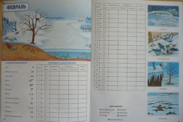 Календарь наблюдений