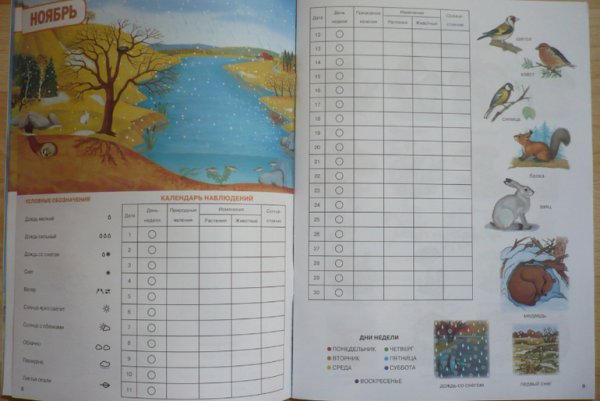 Календарь наблюдений за природой