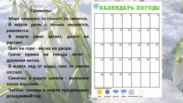 Дневник наблюдений за природой