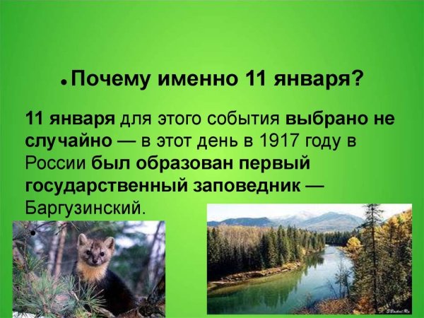 11 Января - день заповедников и парков России