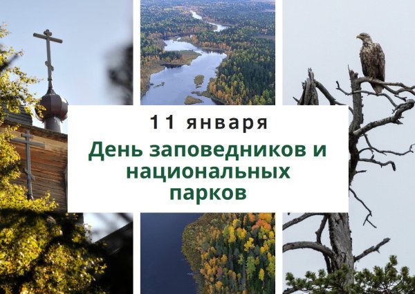 11 Января день заповедников и национальных парков