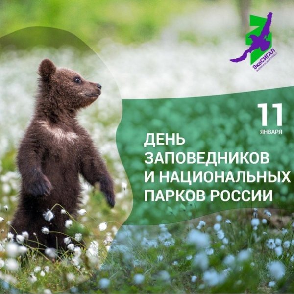 Всемирный день заповедников