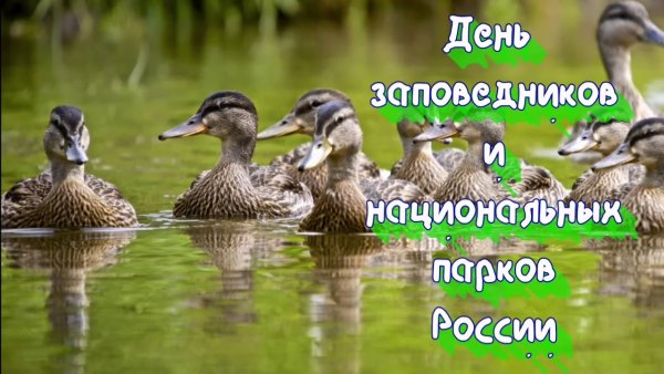 День заповедников и национальных парков картинки