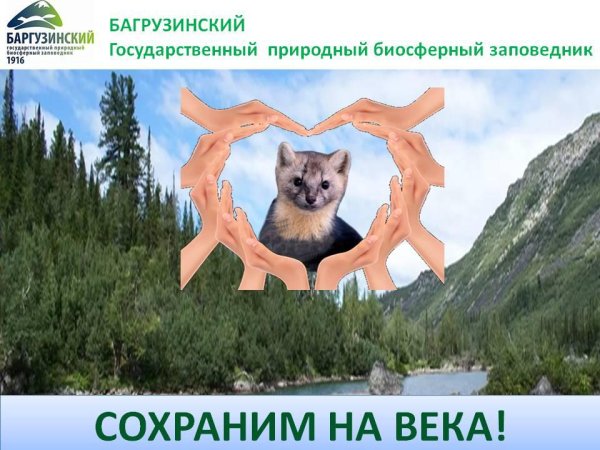 Баргузинский заповедник герб