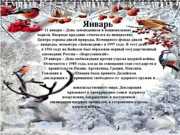 11 Января день заповедников