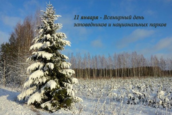 11 Января - день заповедников и парков России