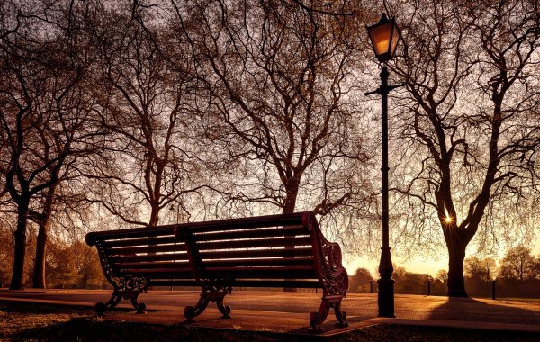 Парк аллея лавочка