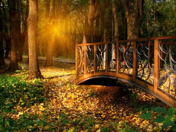 Красивый мостик с фонарями