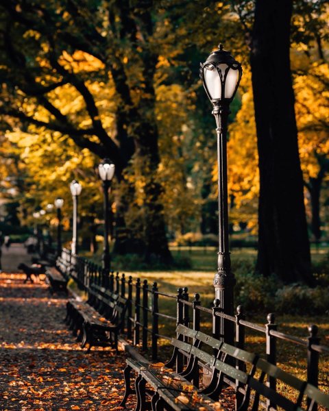 Фонари в парке