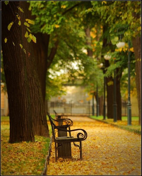 Осенний парк