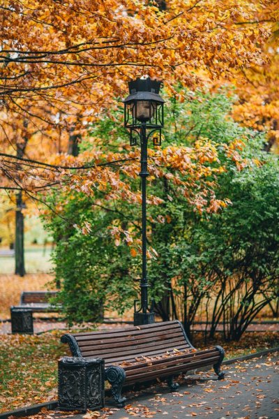 Скамейка в парке